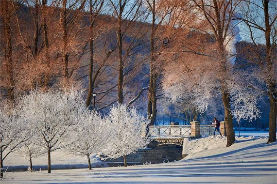 Winter scenic of Payne Creek and Willow Path