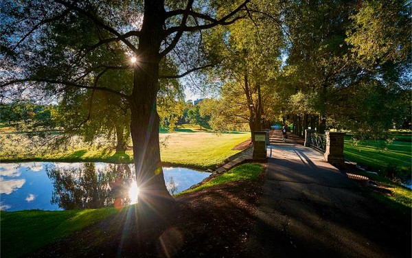 Willow Path and Payne Creek