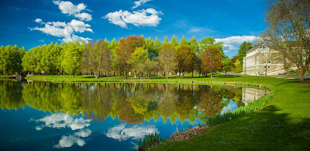 Taylor lake reflects nearby scenery on a nearly cloudless day