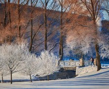 Winter scenic of Payne Creek and Willow Path