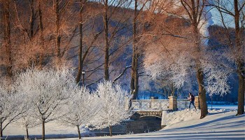 Winter scenic of Payne Creek and Willow Path