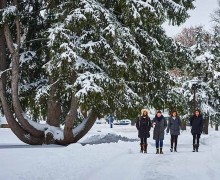 A winter walk past the great Norway spruce, a favorite climbing tree and sitting place year-round on the lower campus. Photo by Andrew Daddio