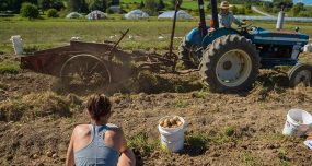 Caroline Boudreau ’17 in the foreground while a tractor harvests produce in the background