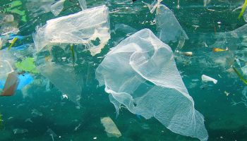 Plastic debris in ocean waters